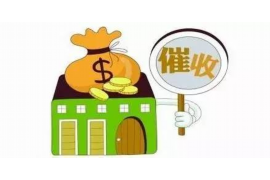 涿鹿为什么选择专业追讨公司来处理您的债务纠纷？